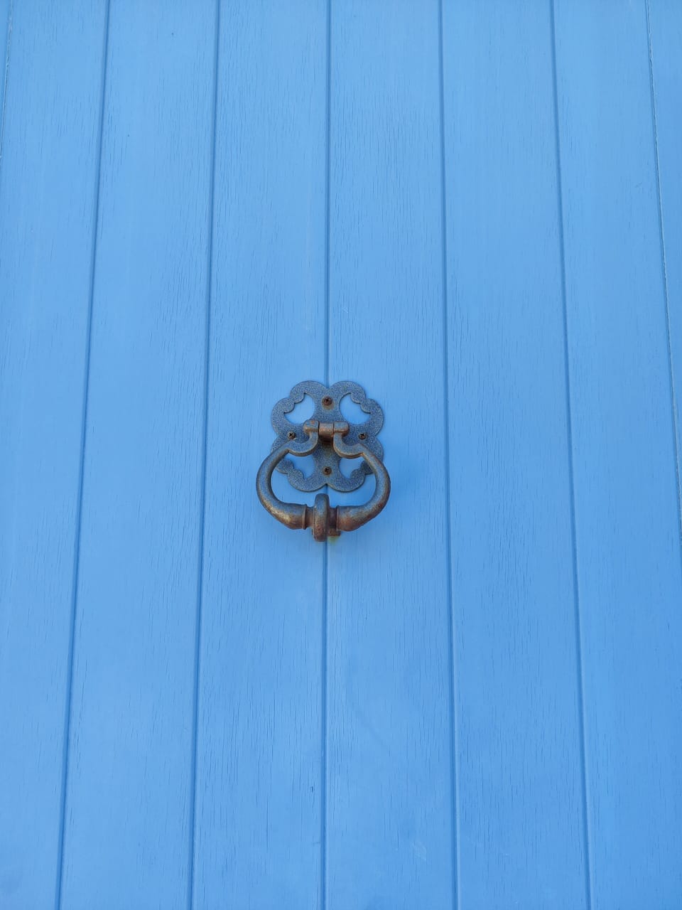 The traditional house door
