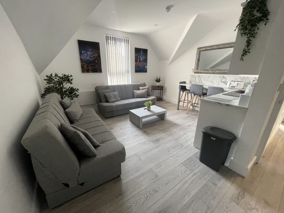 suite 6