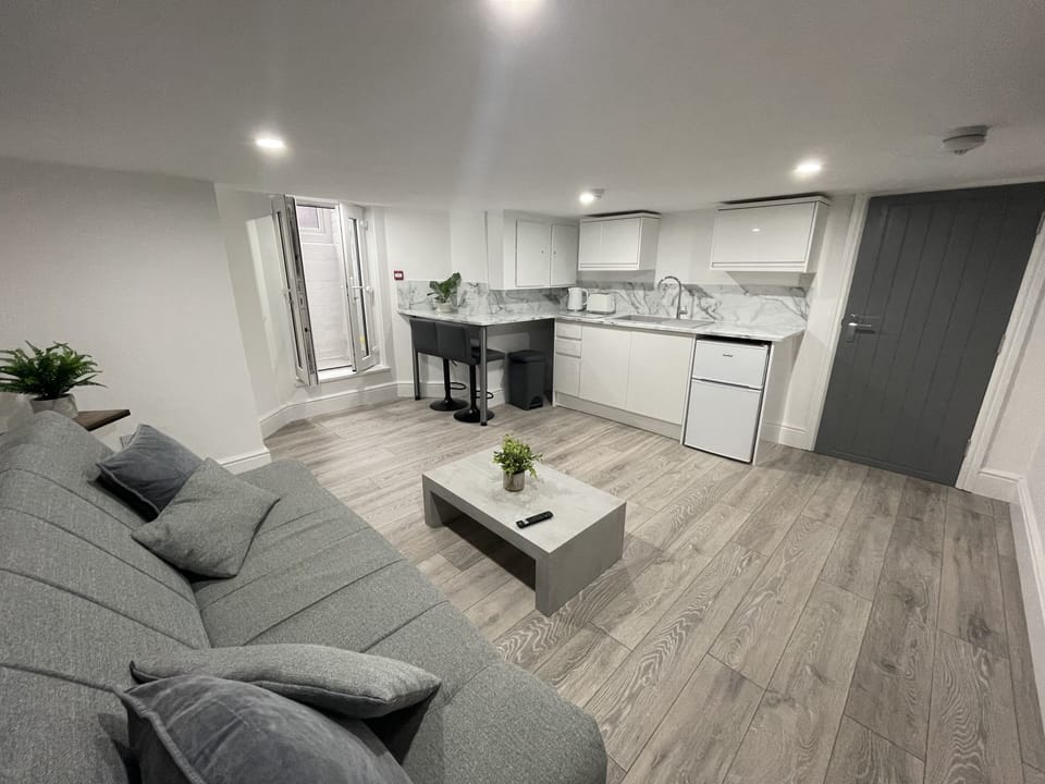 basement suite 3