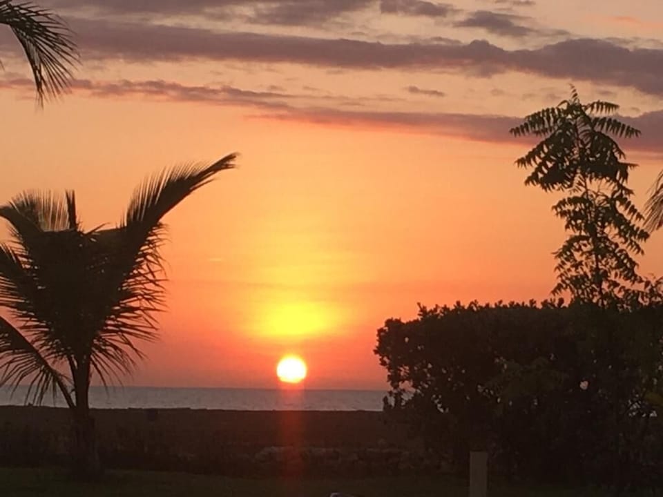 Beach/ocean view