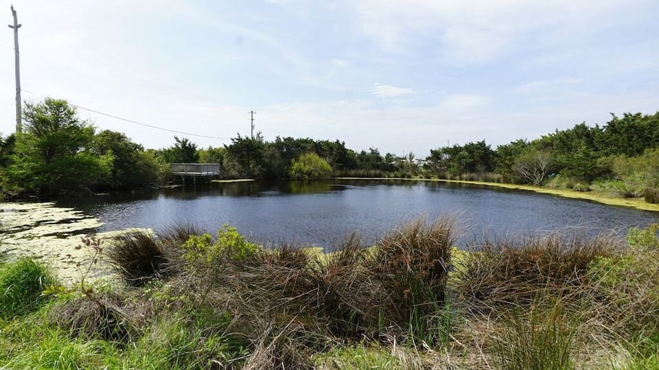 Pond at Entrance Area