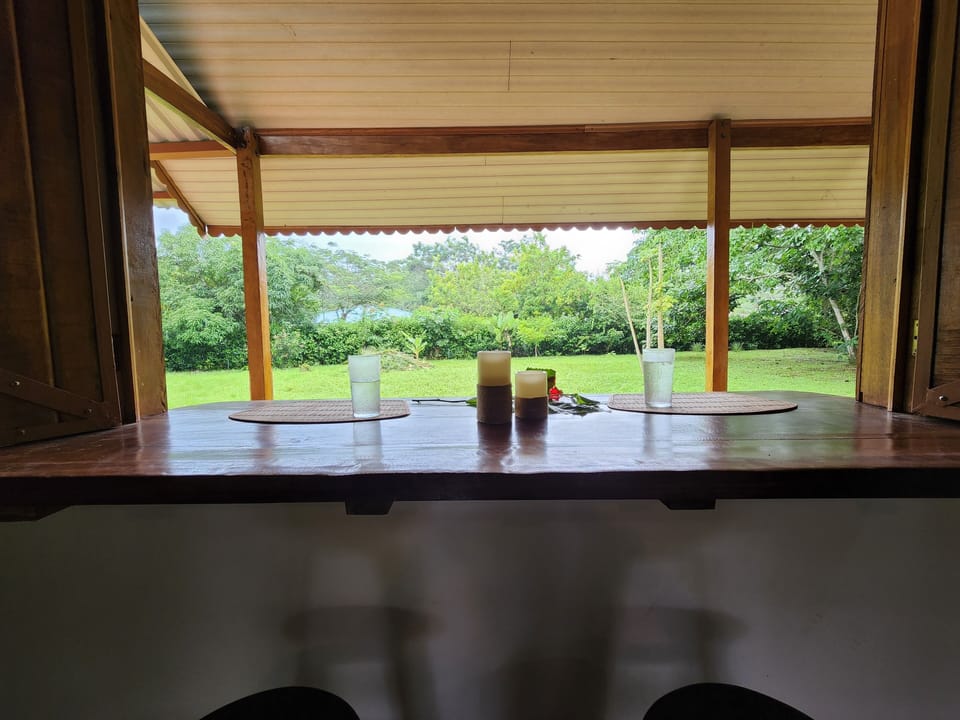 Built in Bar table extends from kitchen to outside deck area, looking at yard
