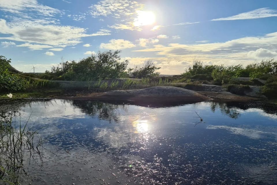 Water view