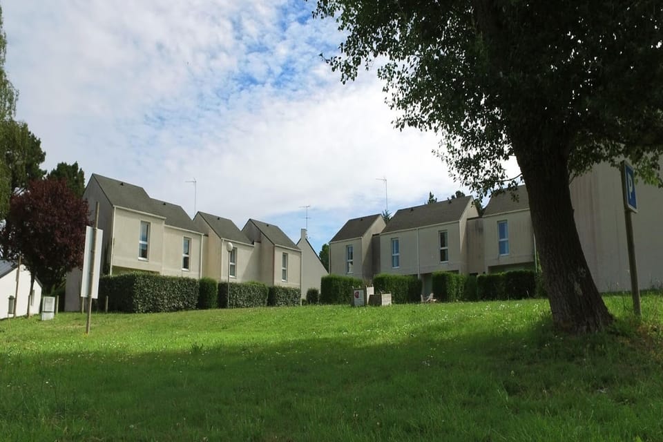 Garden [summer]