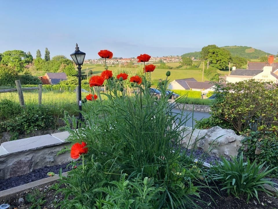 Distant views from elevated front garden.  Enjoy morning sunshine with a coffee!