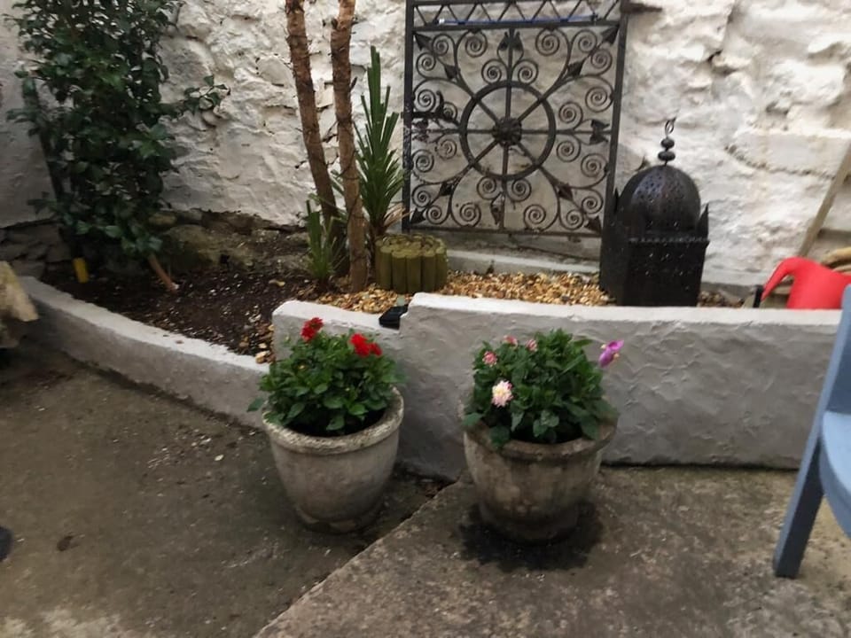 Rear yard with high fencing and stone wall.  Private and secure. Midday suntrap!