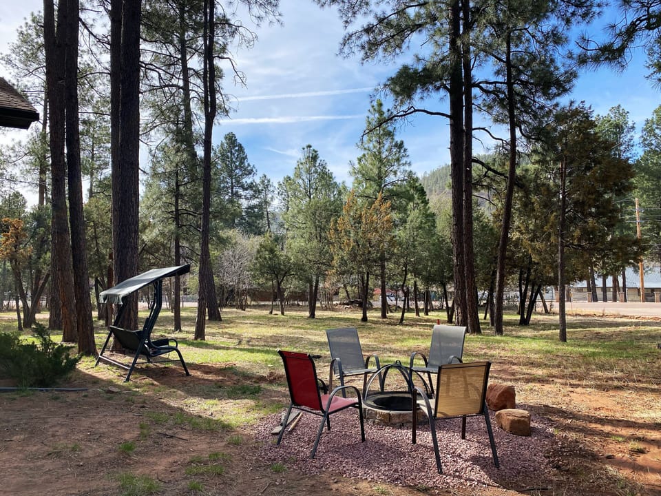 Our yard. Corner lot. 