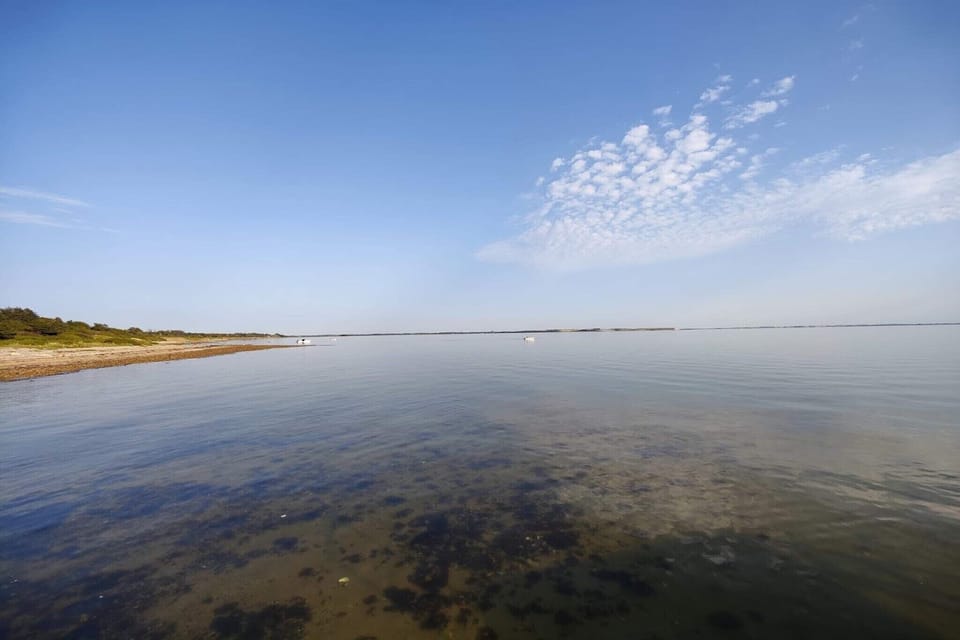 Water view