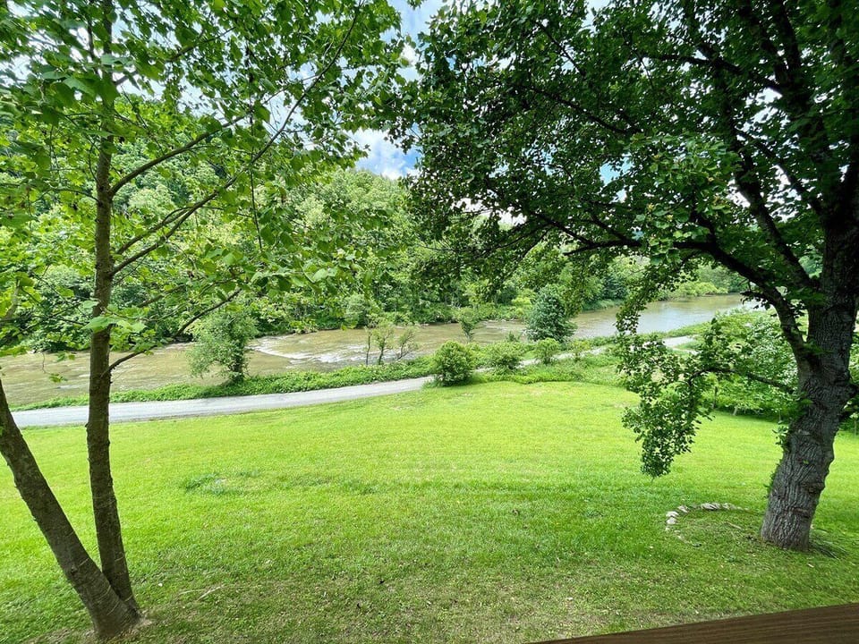 Riverfront Cabin View From Deck