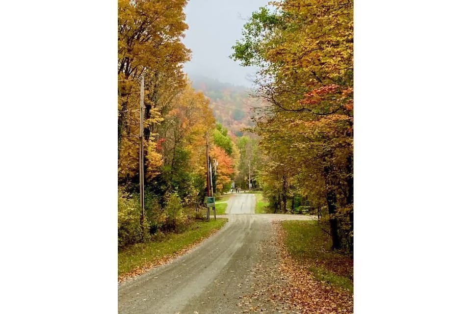 Beautiful Fall Foliage looking down our street