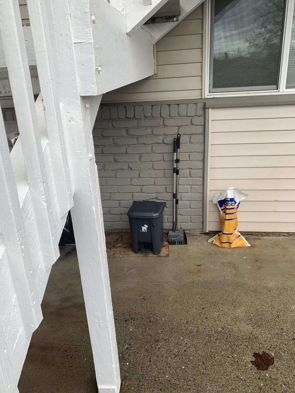 Dog poop cleanup station