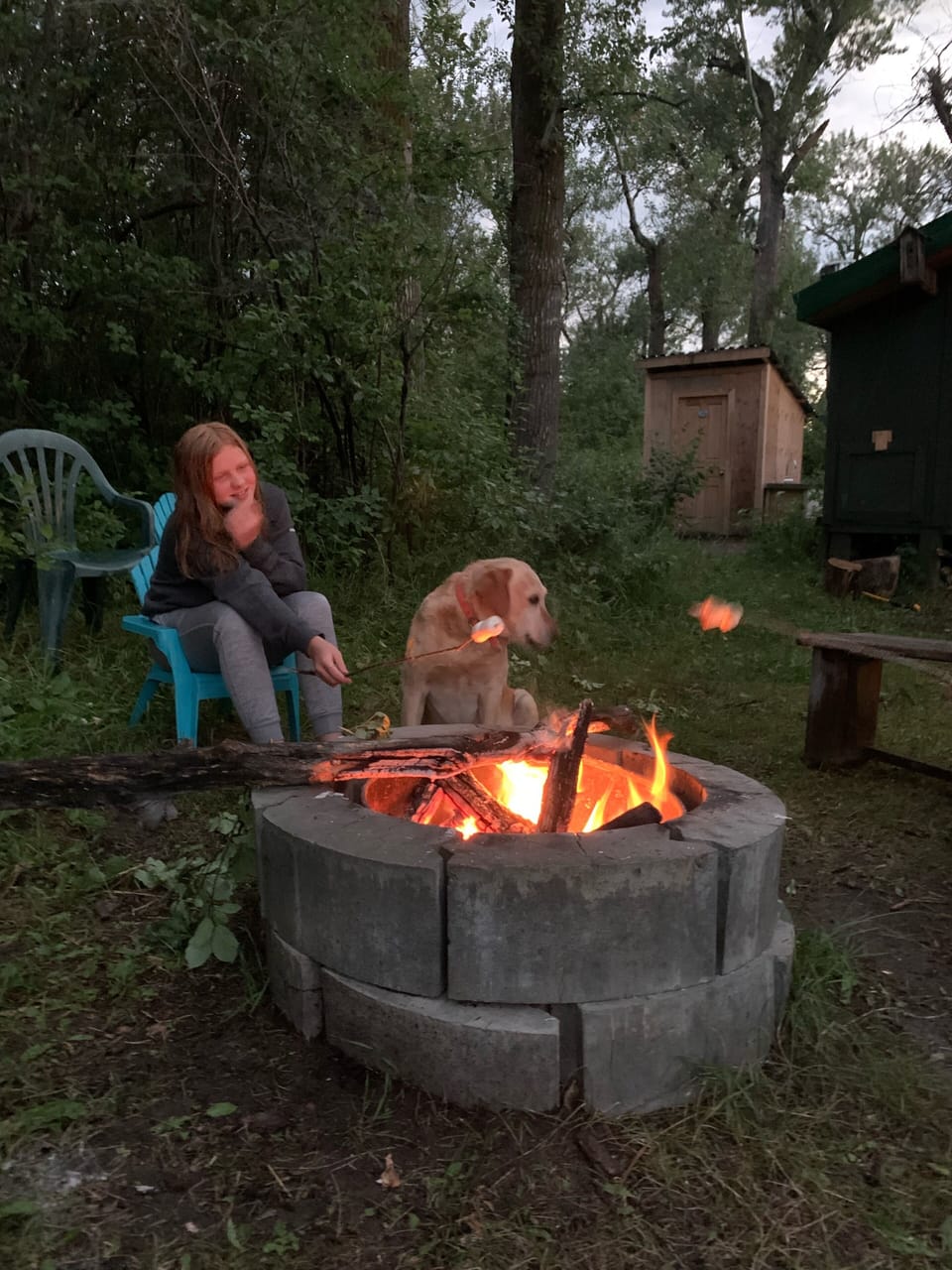 Firewood supplied dog extra,