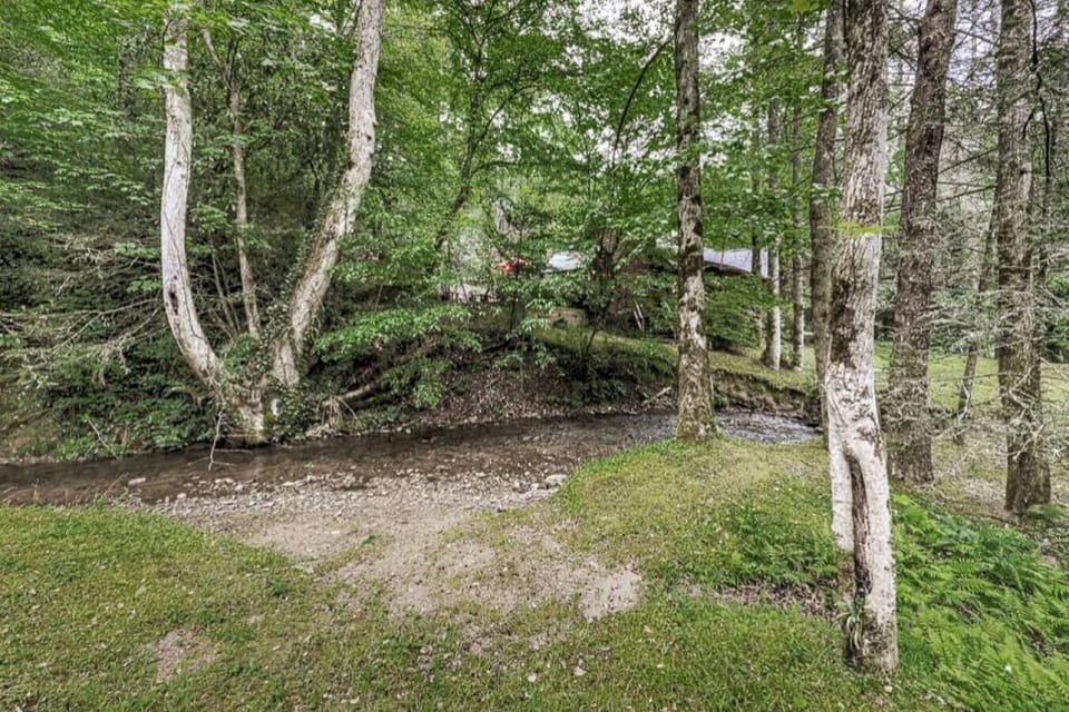 Get away in the forest and walk the path to serenity.