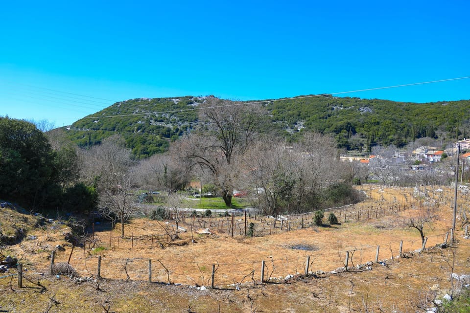 Galini Vines House Vineyard