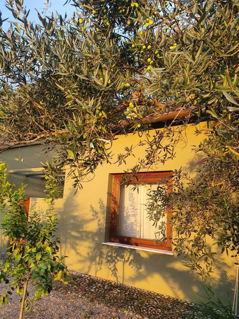 Image 14