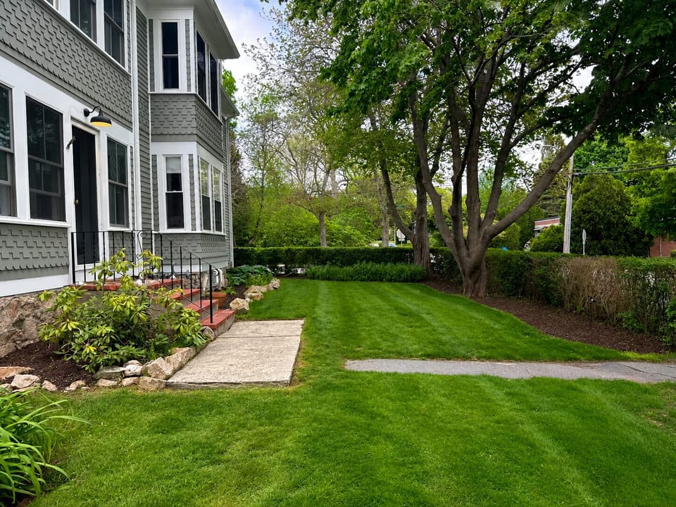 Front yard
