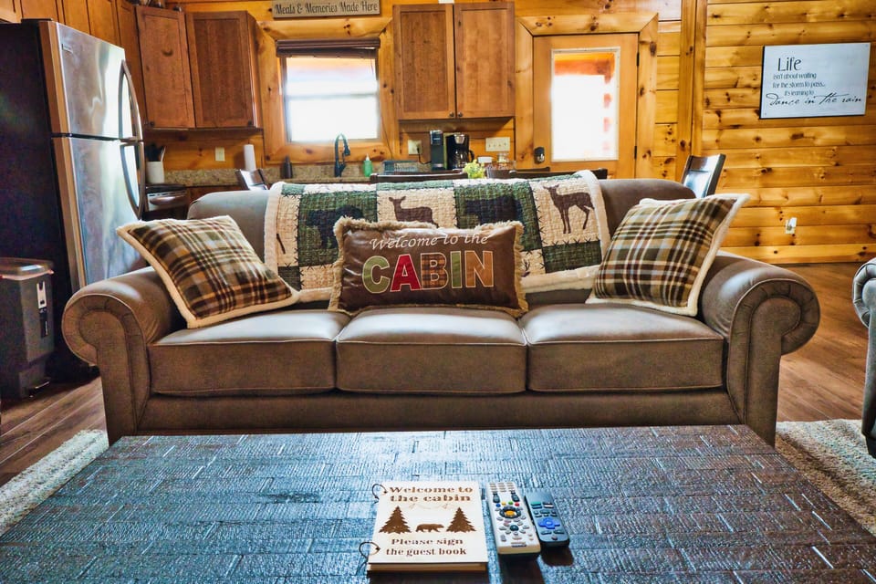 Living Room couch (also sofa bed)