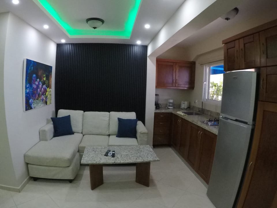 The living room area and the fully stocked galley kitchen.