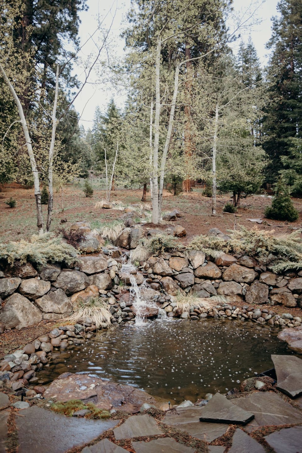 Pond and waterfall