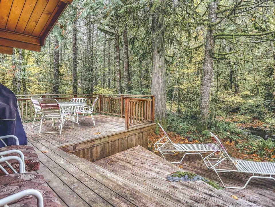Patio View