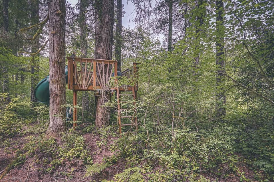 Woods View