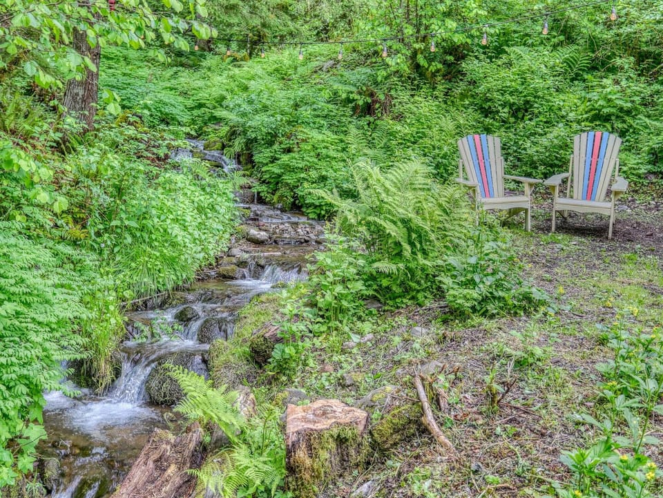 Kitchen creek in back yard