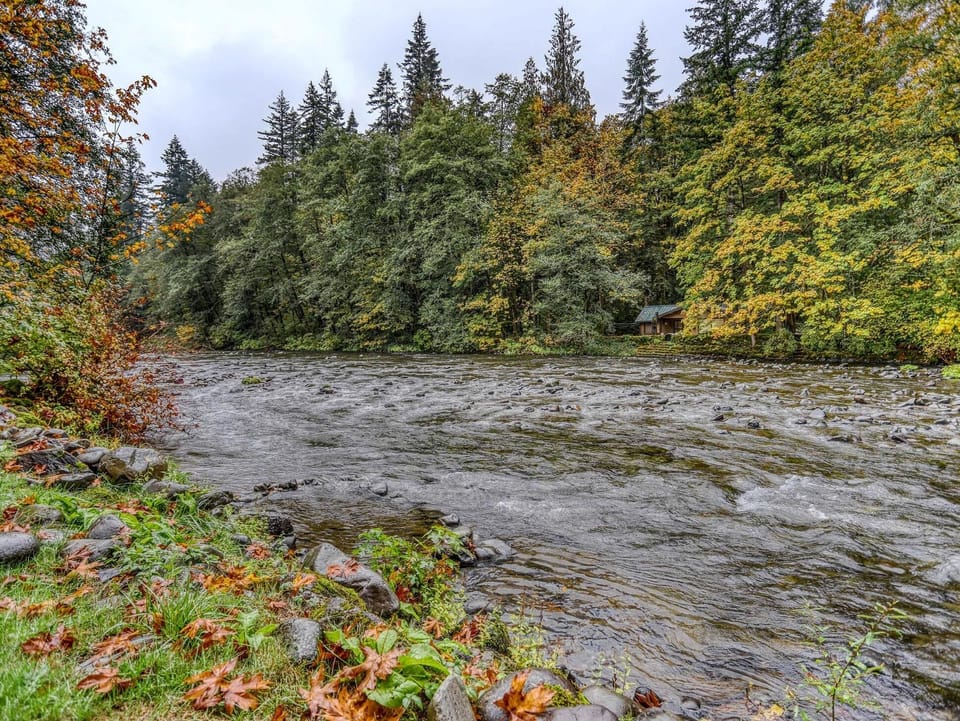 Beautiful Riverview