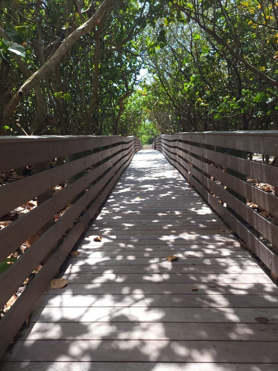Jensen Beach 