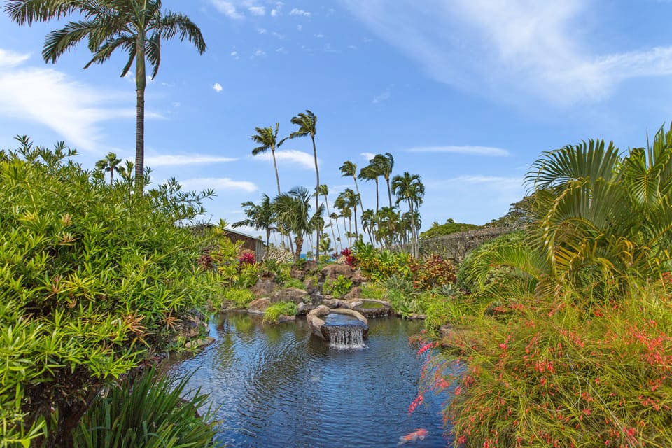 Flourishing vegetation and ponds