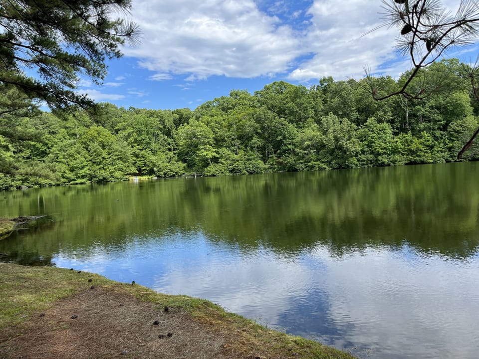 View of lake 