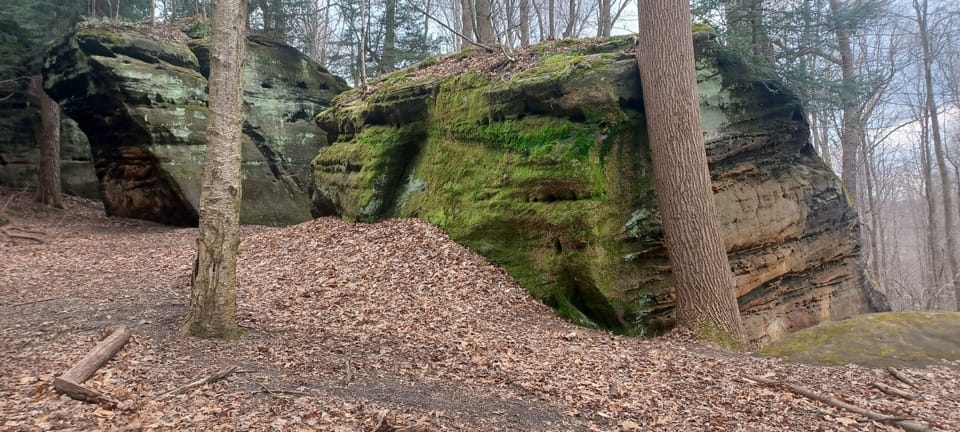 10  min from the National Forest. 17 min from Blossom 