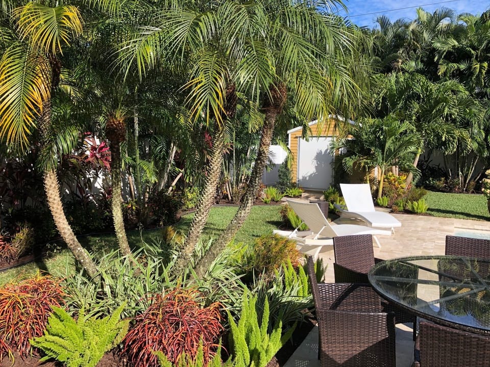 Tropical Garden 
