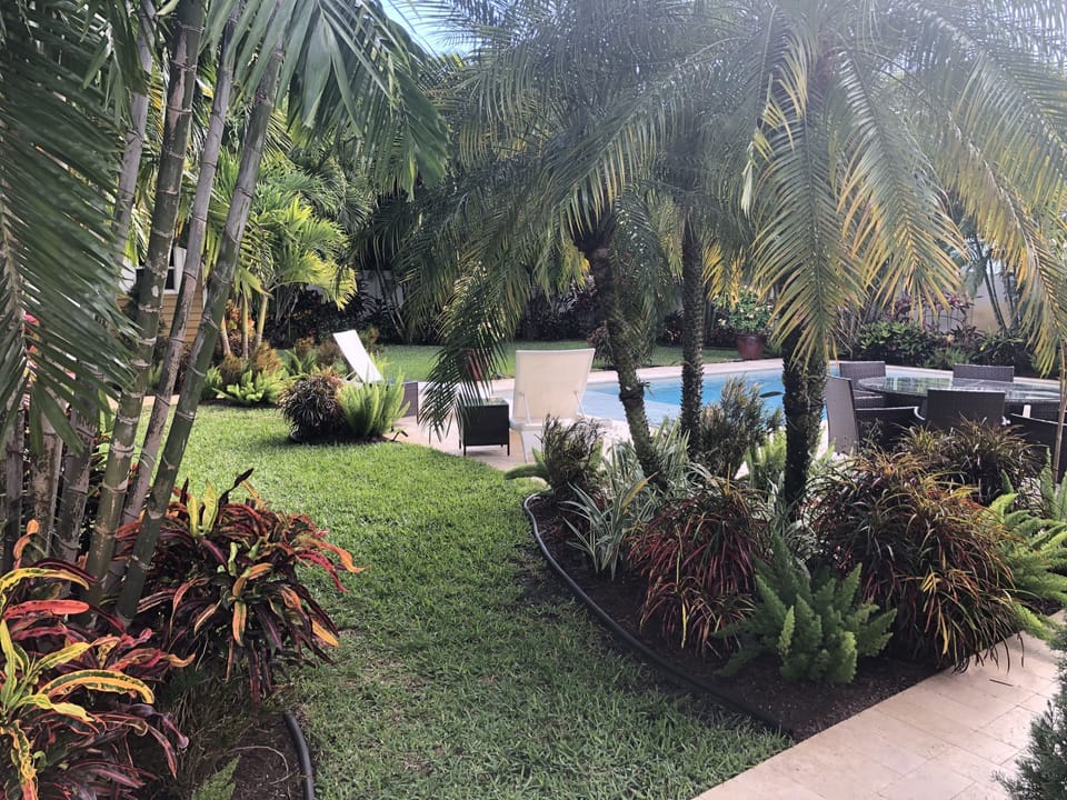 Tropical Garden