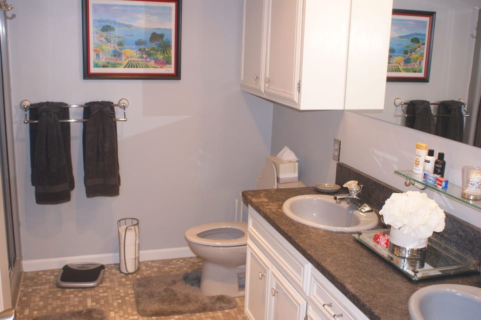 Orchid Room bathroom vanity area.