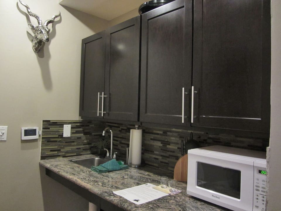2nd type of larger kitchenette