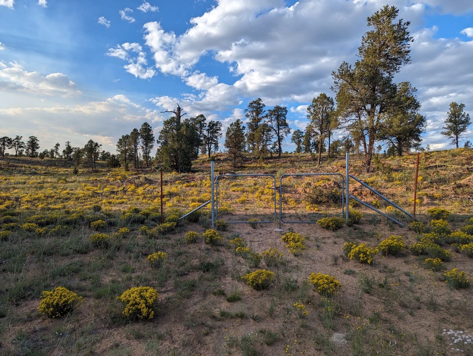 Walk or ride out our back gate to explore national forest on foot or with ATV.