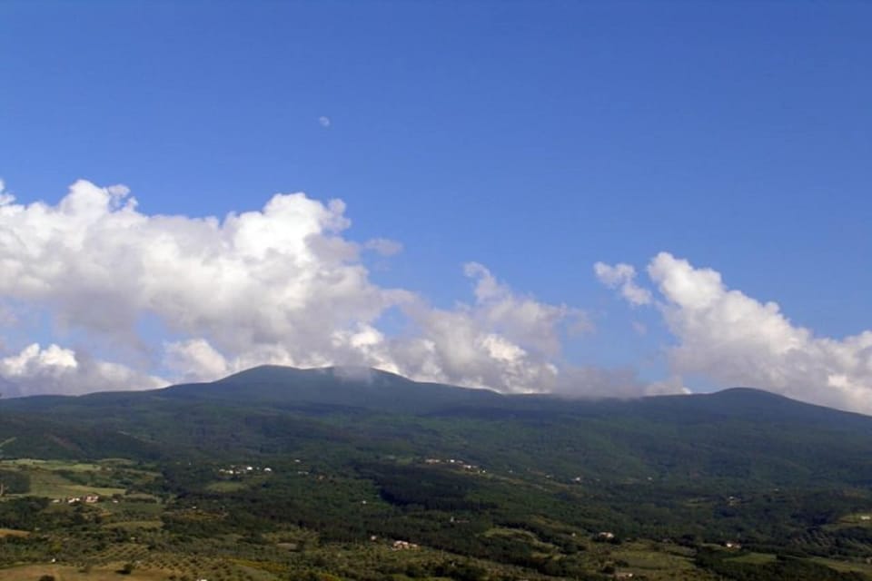 View from Holiday Home [summer]