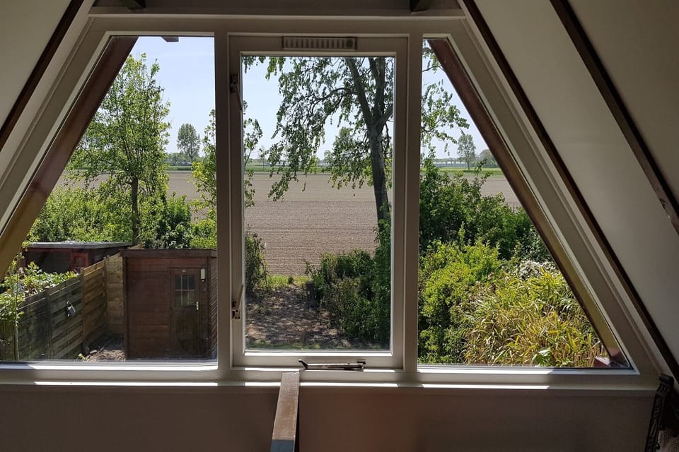 View from Holiday Home [summer]