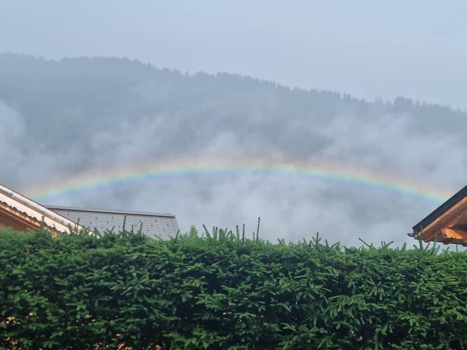 RAINBOW VIEW (ROOM)