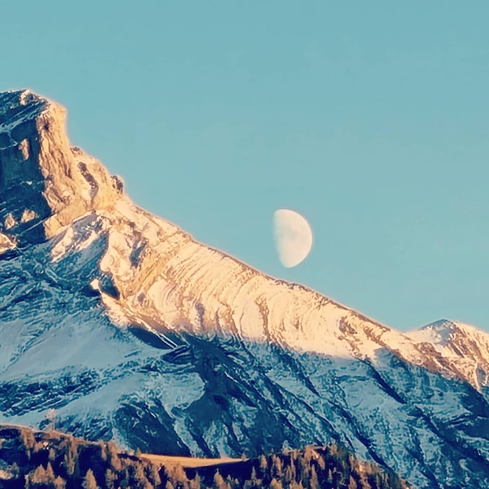 NIESENHORN MOON