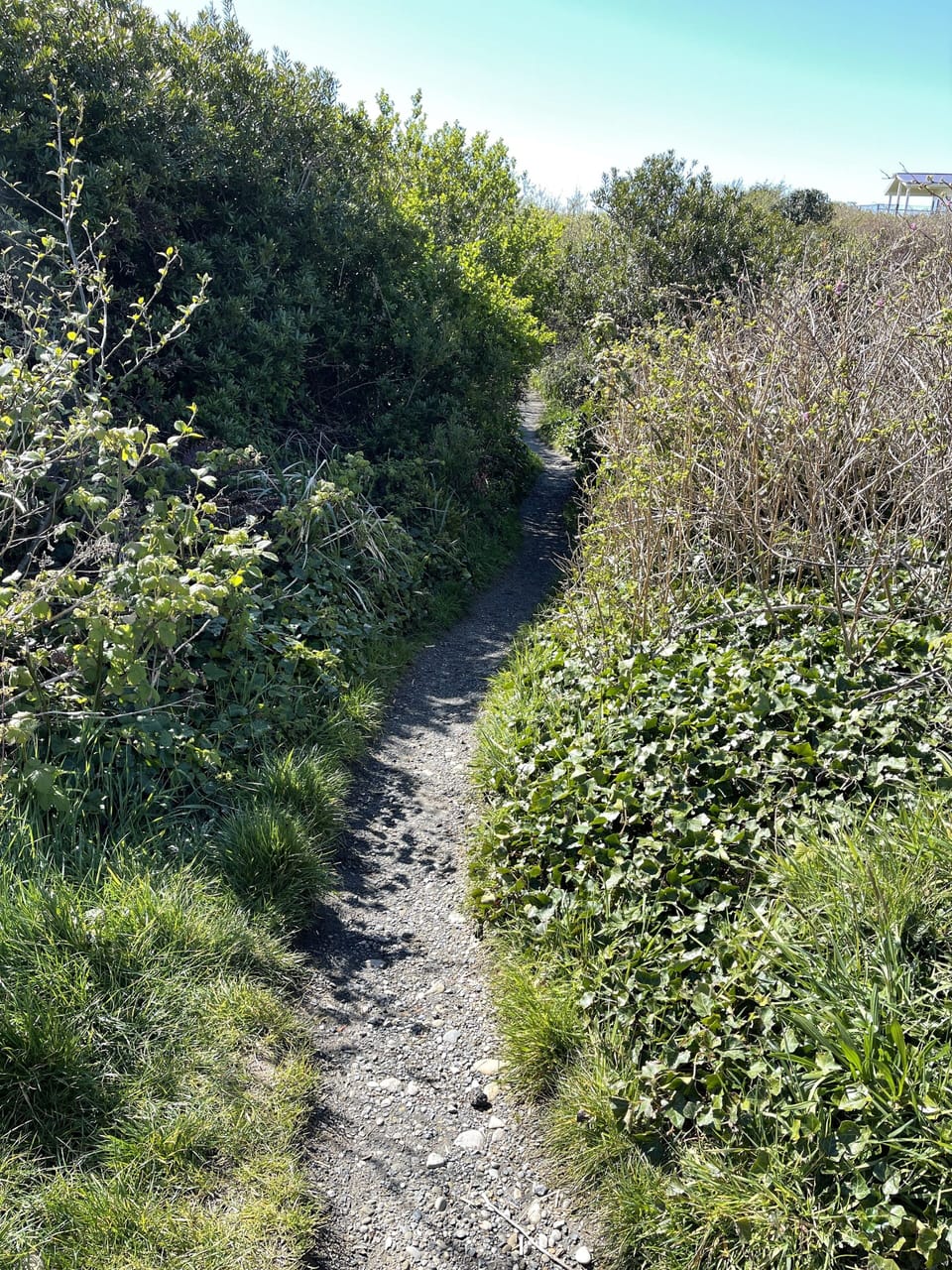 Follow the mostly flat, well maintained trail. Just 70 steps to the sand!