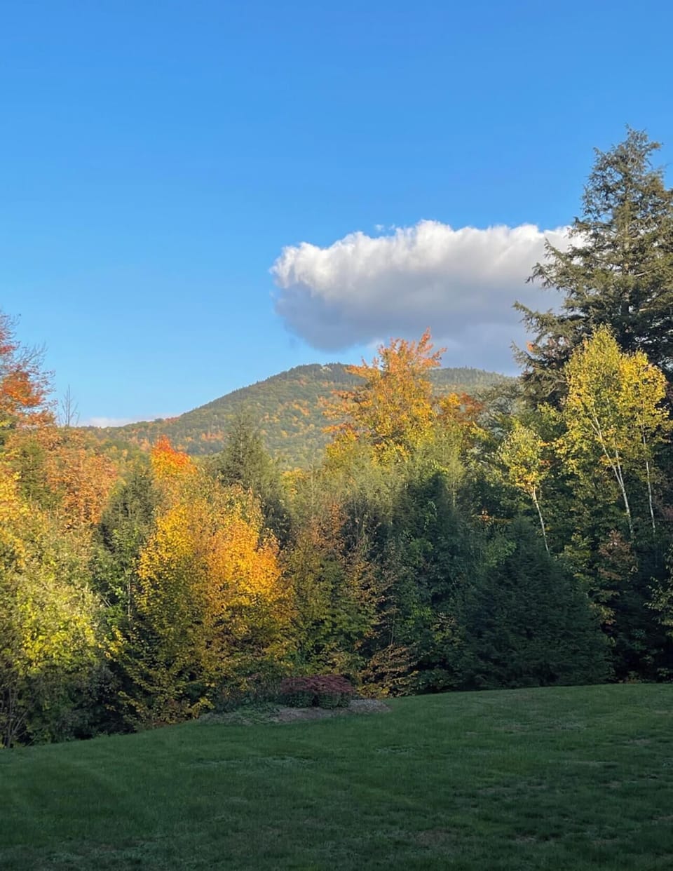 Autumn view from deck