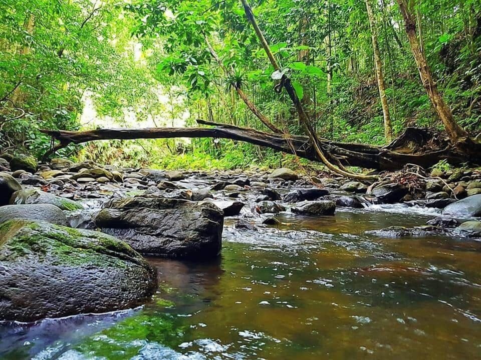 Guadeloupe National Park (10')