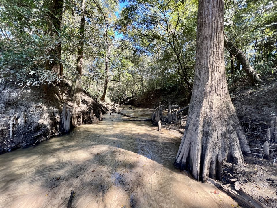 Natural spring flows on the side of the property into the river