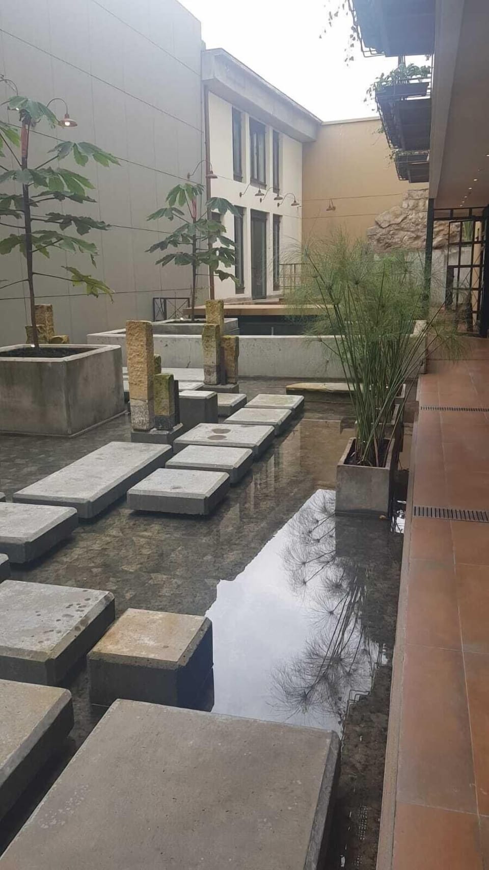 Terrace/patio