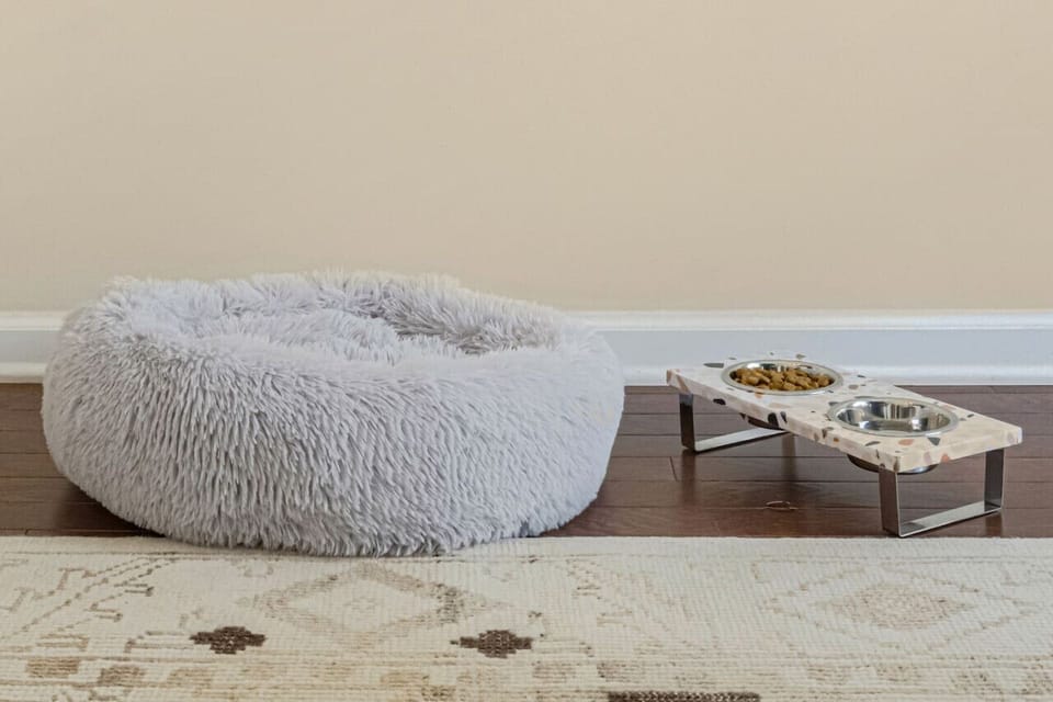 Pets are welcome with Host approval! We even have a comfy bed and bowls ready for them.