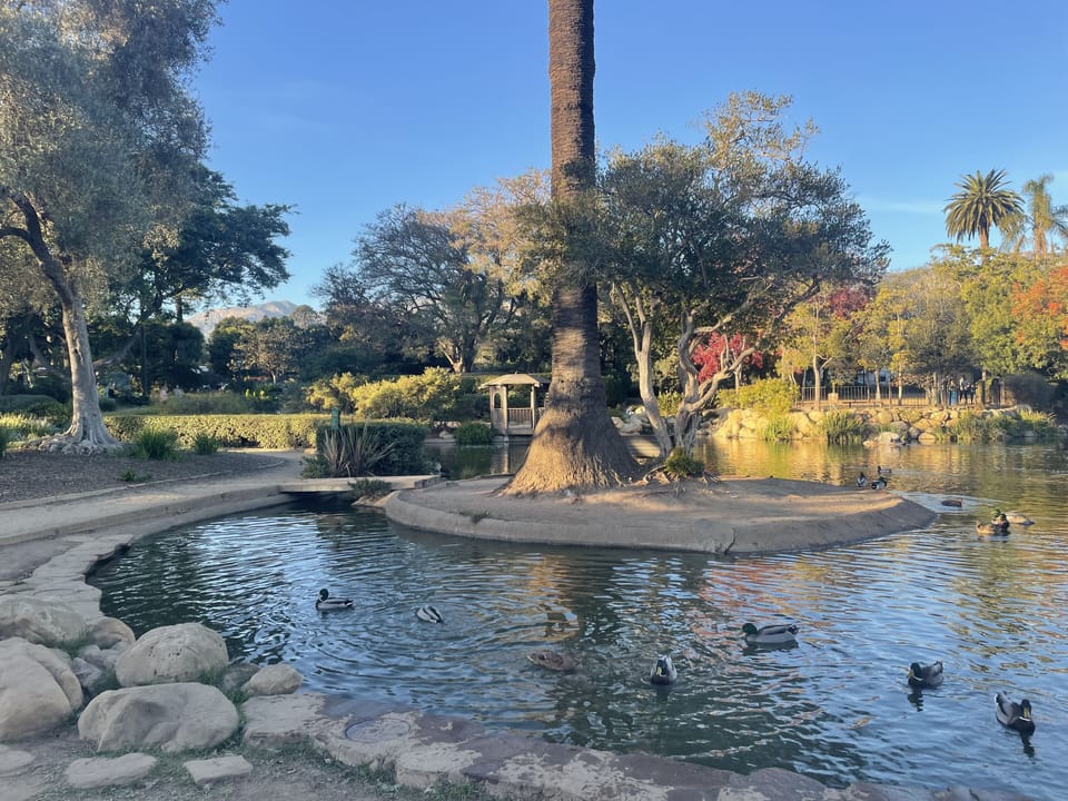 Famous turtle pond with gazebo and beautiful landscaping.