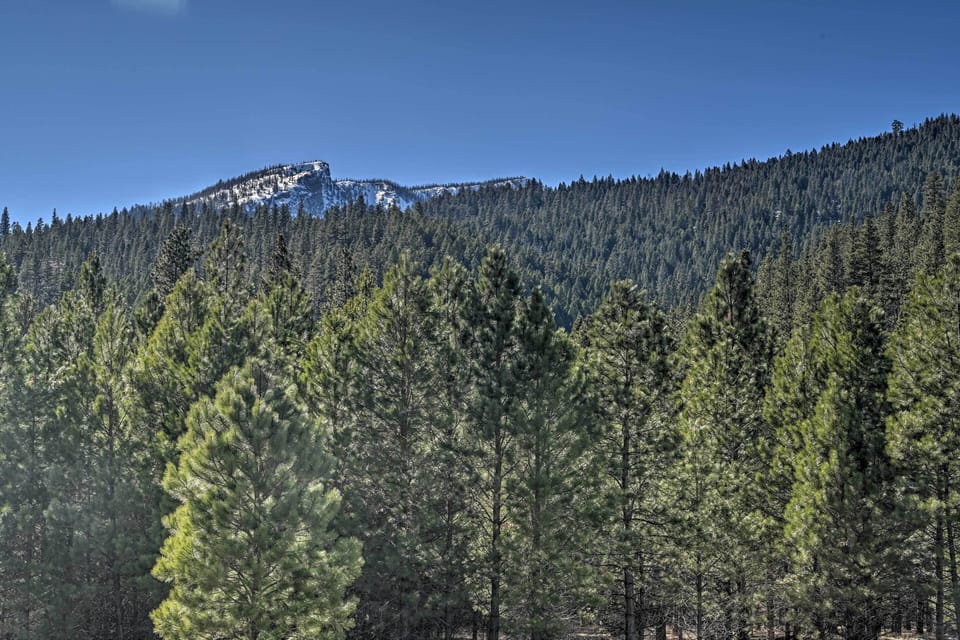 Mountain & National Forest Views