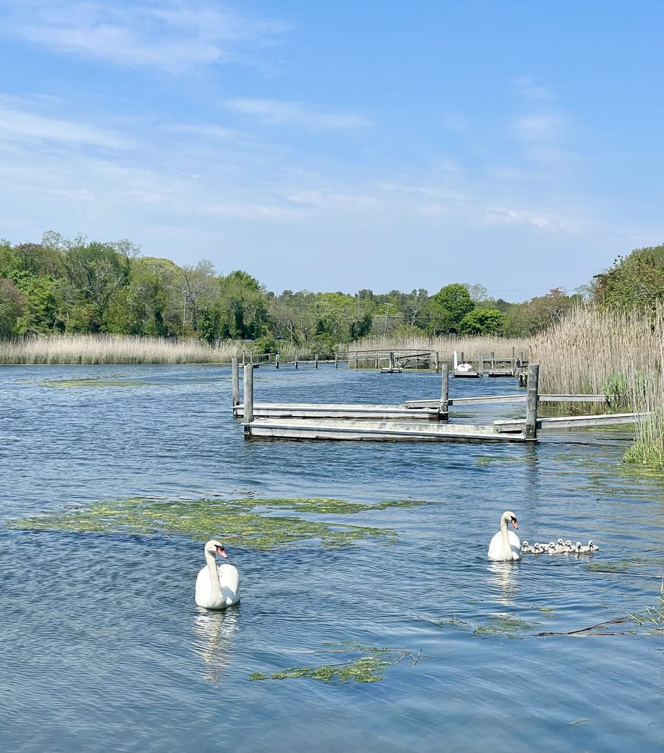 View from the private dock 