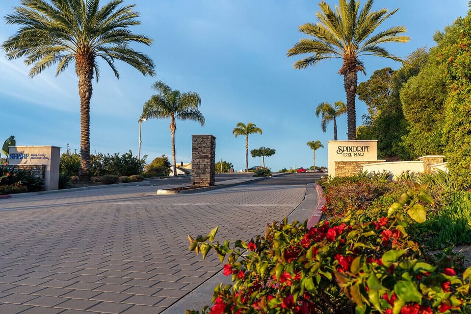 Palm Tree lined entrance to SpinDrift
